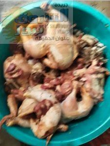 581 محضرًا تموينيًا للمخابز والأسواق