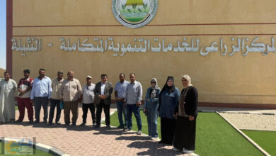 استمرار مديرية الزراعة شمال سيناء بالمتابعة الميدانية بالمرور علي التجمعات التنموية.