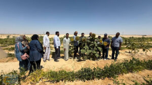 استمرار مديرية الزراعة شمال سيناء بالمتابعة الميدانية بالمرور علي التجمعات التنموية.