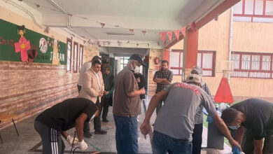 مديرية الزراعة بشمال سيناء تعالج آفات بالمدرسة اليابانية المصرية