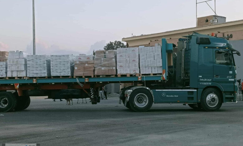 الإمارات ترسل 10 شاحنات مساعدات إلى قطاع غزة عبر معبر رفح