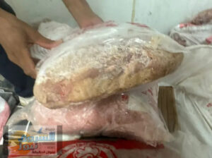 يضبط طنًا من اللحوم الفاسدة