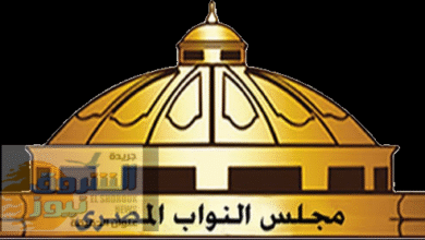 تأييد واسع للمحامي حسن محمد الملهاط مرشح مجلس النواب 2025 عن دائرة المطرية – المنزلة – أسماك بورسعيد