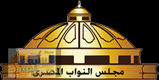 تأييد واسع للمحامي حسن محمد الملهاط مرشح مجلس النواب 2025 عن دائرة المطرية – المنزلة – أسماك بورسعيد