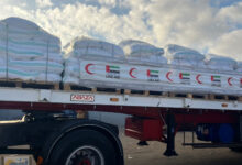 وصول السفينة الإماراتية العاشرة لميناء العريش لنقل مساعدات إنسانية إلى غزة