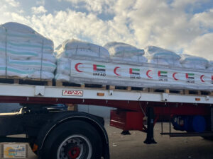 وصول السفينة الإماراتية العاشرة لميناء العريش لنقل مساعدات إنسانية إلى غزة