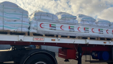 وصول السفينة الإماراتية العاشرة لميناء العريش لنقل مساعدات إنسانية إلى غزة