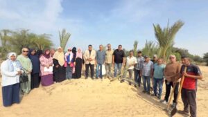 زراعة شمال سيناء : ندوة إرشادية حول تقليم أشجار الزيتون بعد الحصاد . 