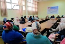 ندوة بشمال سيناء تطالب بتصحيح صورة المرأة المصرية في الإعلام